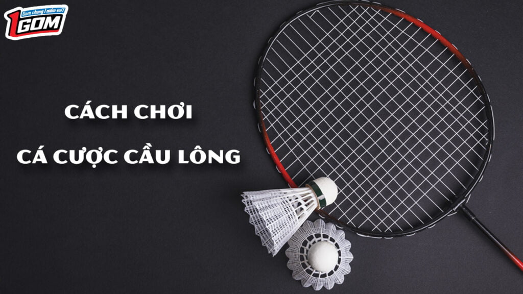 cách chơi cá cược cầu lông