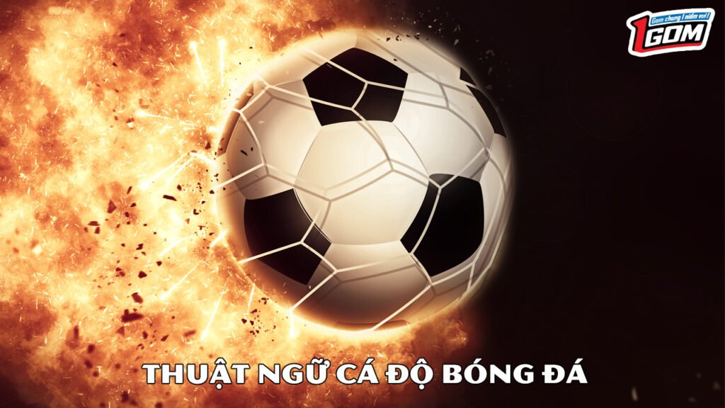thuật ngữ cá độ bóng đá