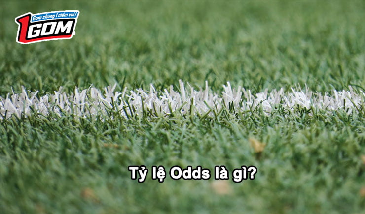 Tỷ lệ Odds là gì