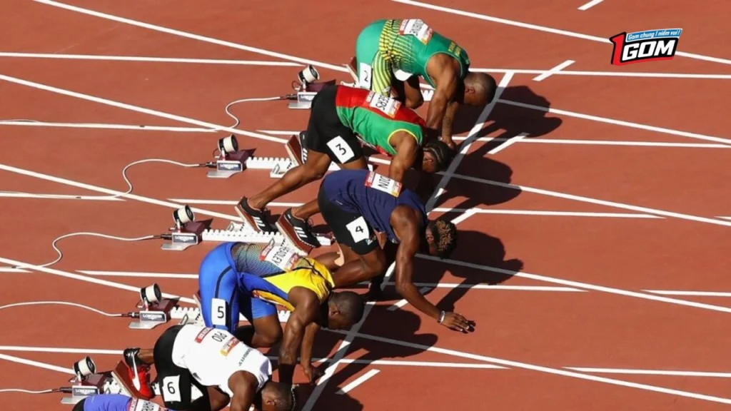 Cách chơi cá cược điền kinh gồm nhiều môn độc đáo